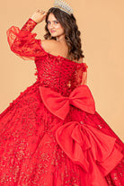 Mesh Long Sleeves Quinceanera Dress Detachable Ribbon and Mini Bag GLGL3071-QUINCEANERA-smcfashion.com