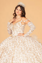 Mesh Detachable Long Sleeves Quinceanera Dress Detachable Ribbon and Ruffled Train GLGL3072-QUINCEANERA-smcfashion.com