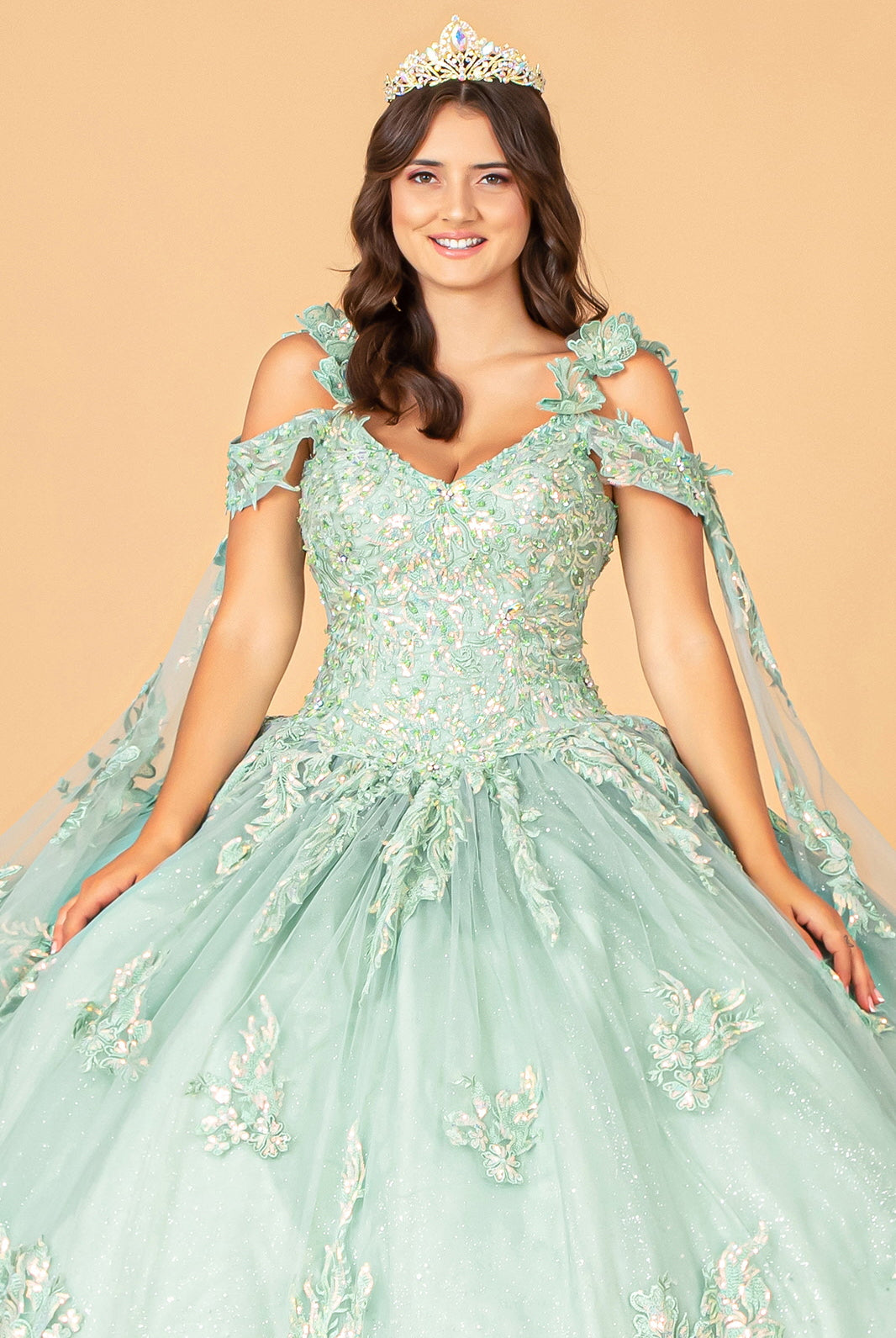 3D Flower Applique Mesh Quinceanera Ball Gown with Side Mesh Drapes GLGL3099-QUINCEANERA-smcfashion.com