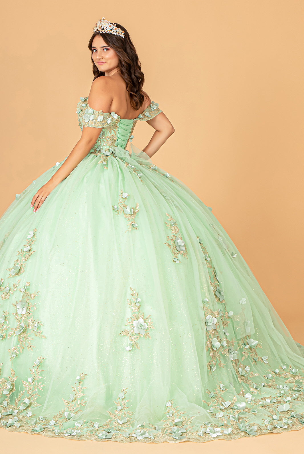 3D Flower Applique Sweetheart Neckline Mesh Quinceanera Ball Gown GLGL3102-QUINCEANERA-smcfashion.com