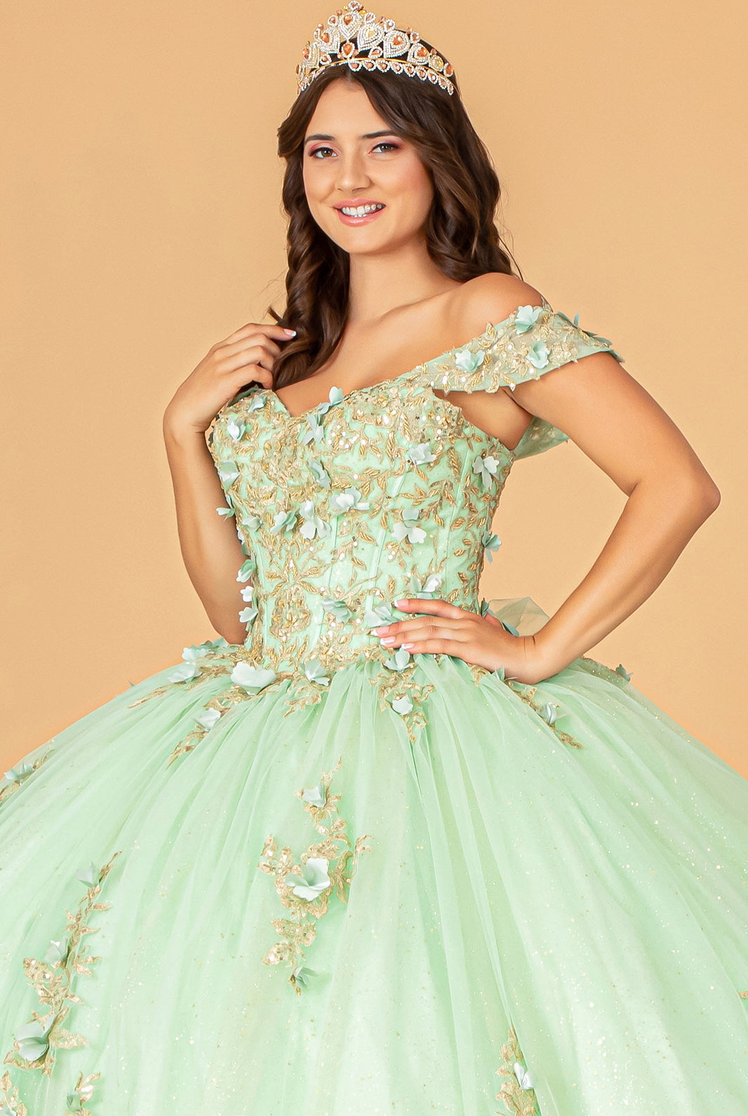 3D Flower Applique Sweetheart Neckline Mesh Quinceanera Ball Gown GLGL3102-QUINCEANERA-smcfashion.com