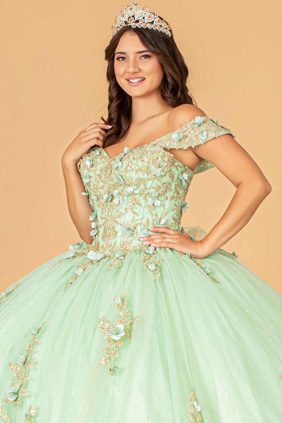 3D Flower Applique Sweetheart Neckline Mesh Quinceanera Ball Gown GLGL3102-QUINCEANERA-smcfashion.com