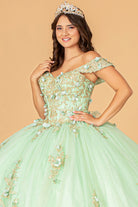 3D Flower Applique Sweetheart Neckline Mesh Quinceanera Ball Gown GLGL3102-QUINCEANERA-smcfashion.com