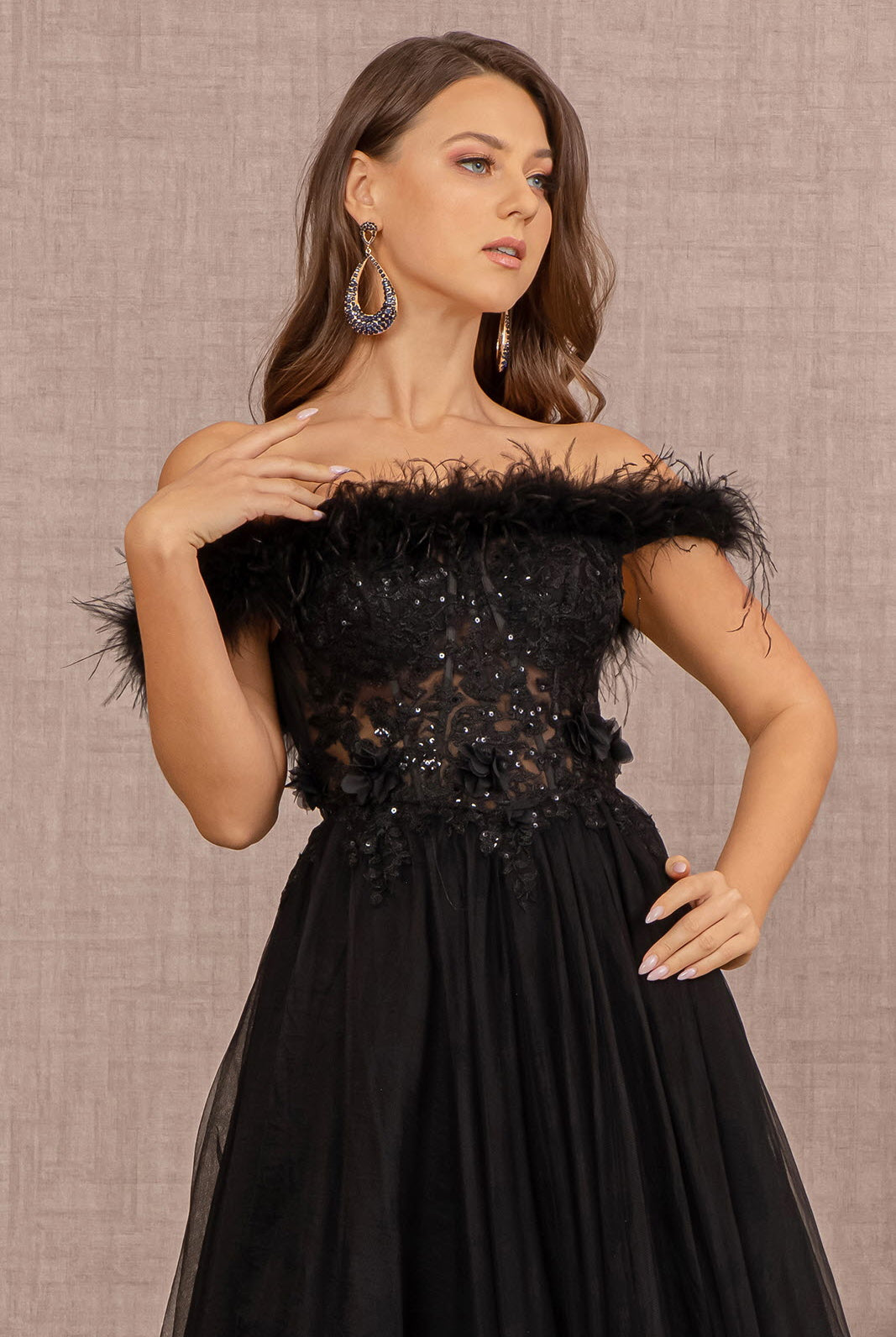 Embroidery Sheer Front Mesh A-line Dress Feather Embellishment GLGL3138-PROM-smcfashion.com