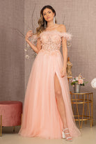 Embroidery Sheer Front Mesh A-line Dress Feather Embellishment GLGL3138-PROM-smcfashion.com