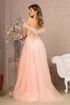 Embroidery Sheer Front Mesh A-line Dress Feather Embellishment GLGL3138-PROM-smcfashion.com