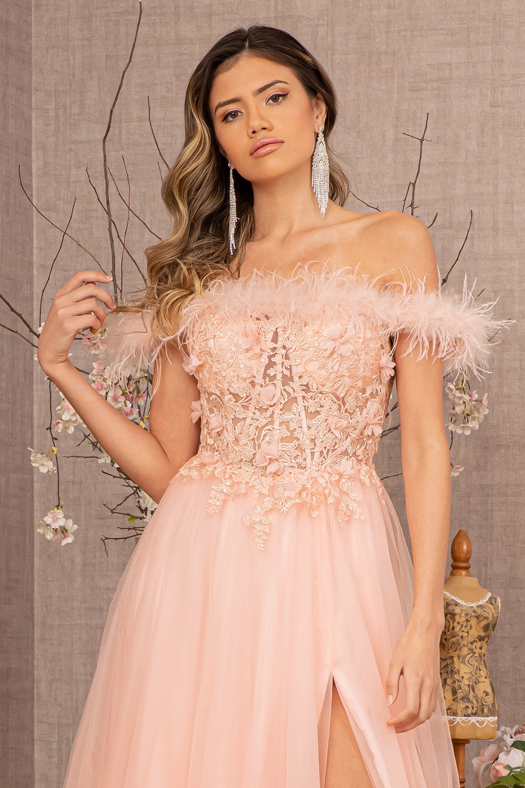 Embroidery Sheer Front Mesh A-line Dress Feather Embellishment GLGL3138-PROM-smcfashion.com