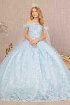 Feather 3-D Flower Quinceanera Gown Detachable Side Mesh Layer GLGL3166-QUINCEANERA-smcfashion.com