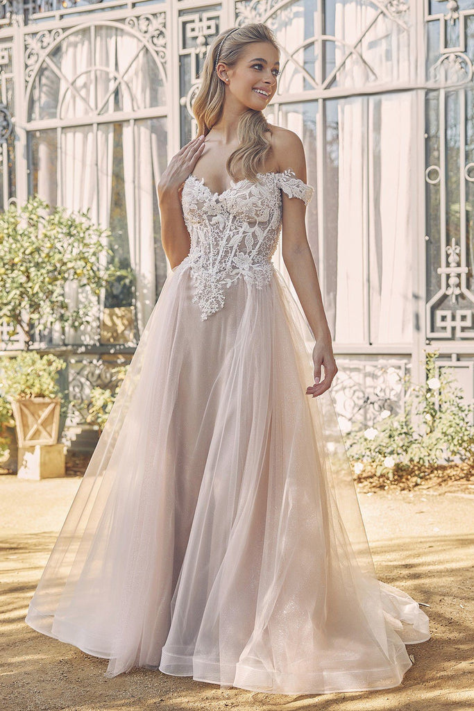 Glitter Tulle Off-Shoulder Floral Applique Long Wedding Dress NXC1107W
