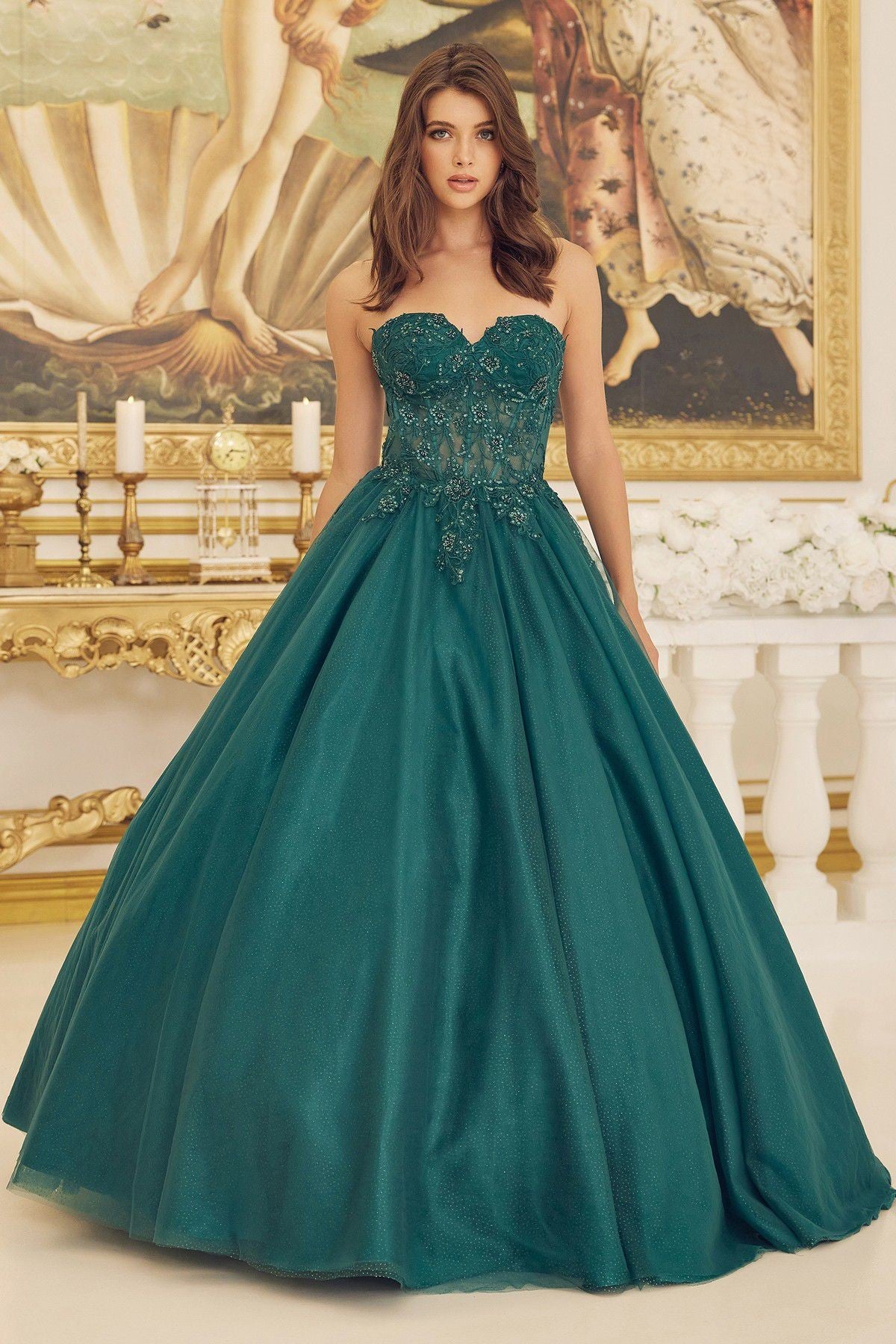 Beaded Applique Illusion Corset Long Quinceanera Dress NXCU1194-Quinceanera Dress-smcfashion.com