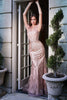 Fitted Glitter Prom & Ball Gown Feather Decorated Bodice Mermaid Silhouette Glam Style Dresses Sequin Embroidered Skirt CDCB087 Sale