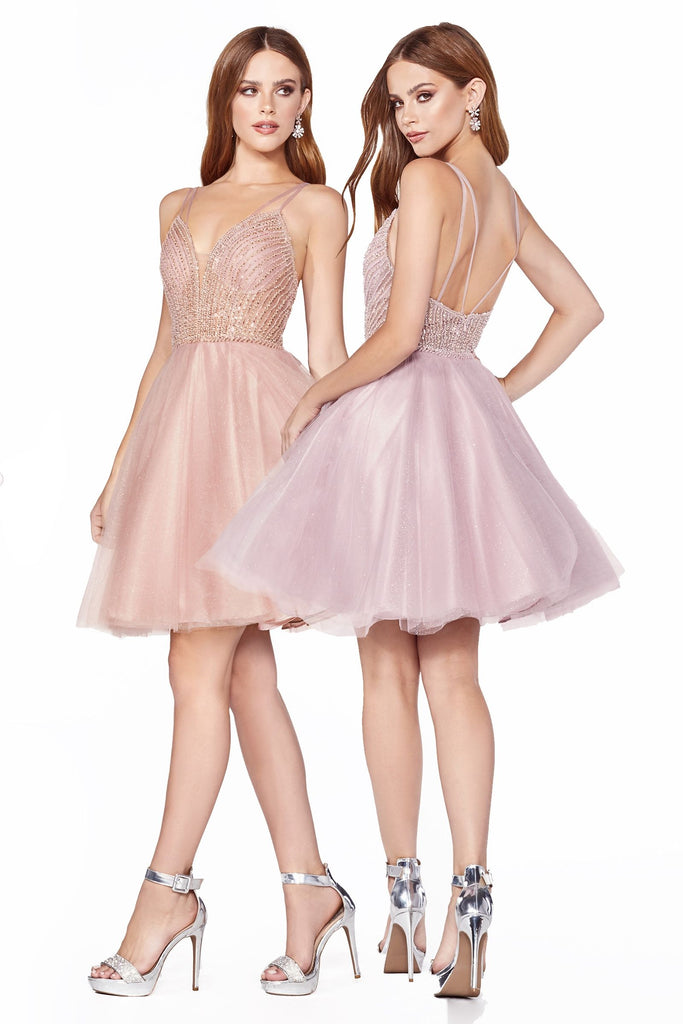 A-line Embellished Sleeveless Bodice Layered Tulle Glitter Skirt Short Cocktail & Homecoming Dress CDCD0148 Sale