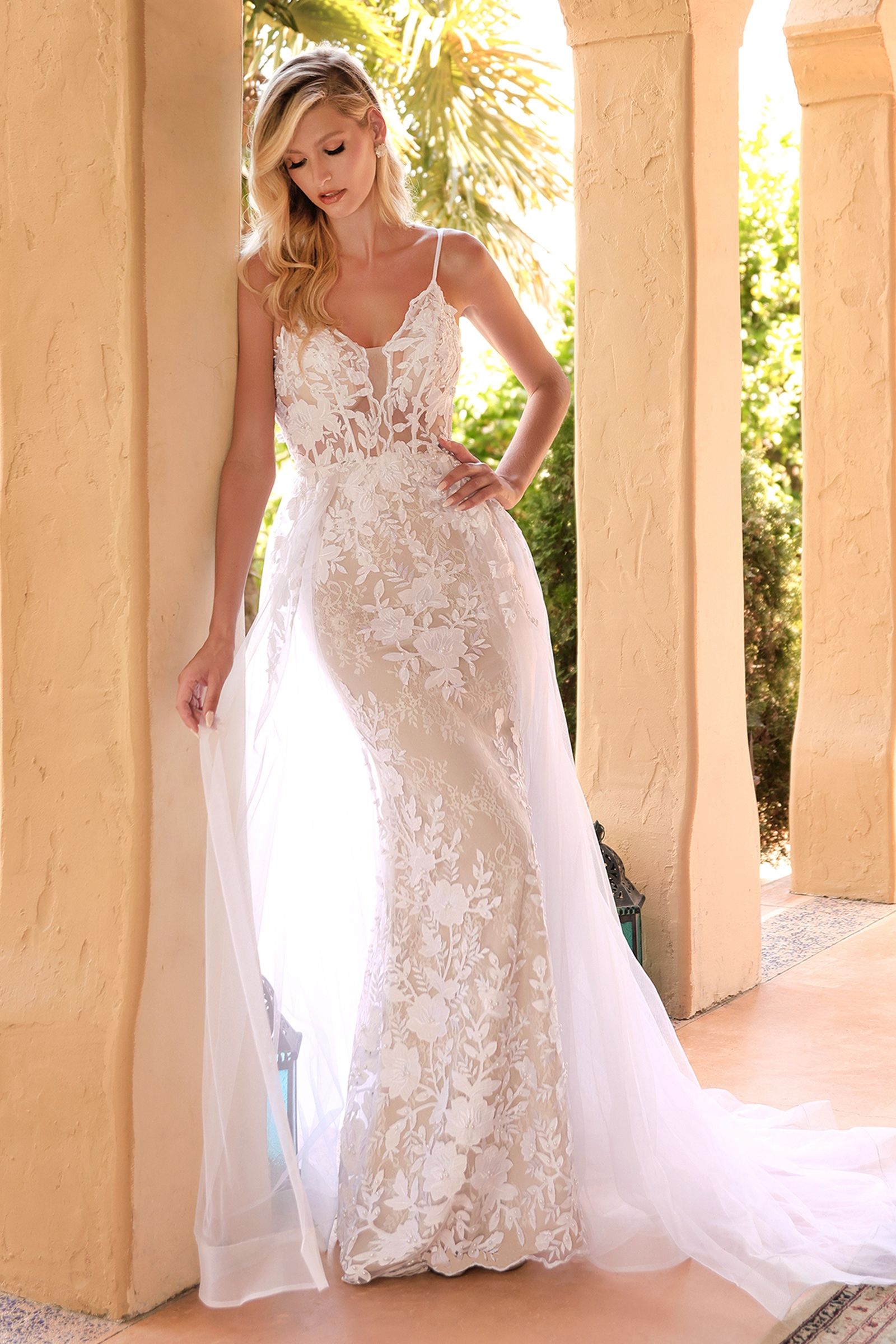 Lace Mermaid Silhouette Overskirt V-neck Mid Open Back