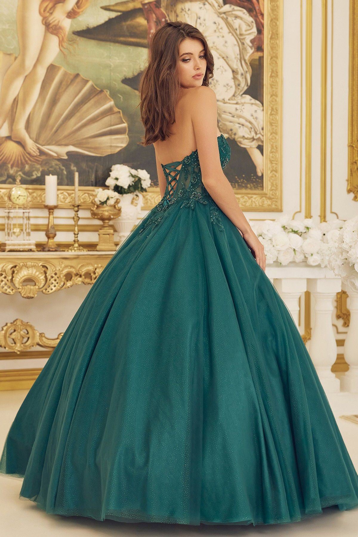 Beaded Applique Illusion Corset Long Quinceanera Dress NXCU1194-Quinceanera Dress-smcfashion.com