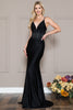 Embroidered Waist Sheath V-Neck Long Evening & Prom Dress AC390