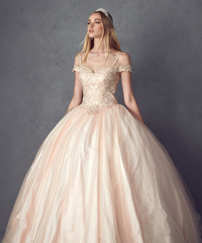 Embroidered Applique Tulle Off Shoulder Long Quinceanera Dress JT1430-Quinceanera Dress-smcfashion.com