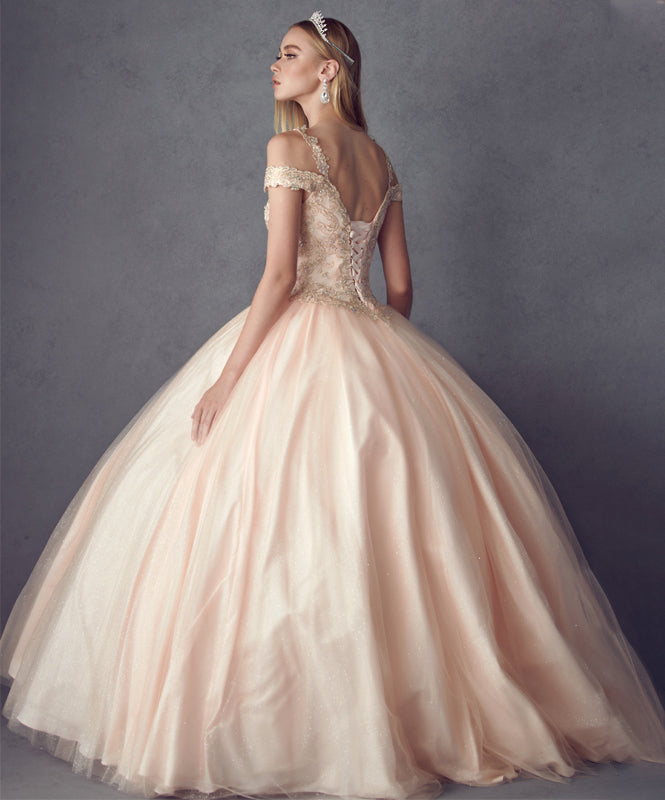 Embroidered Applique Tulle Off Shoulder Long Quinceanera Dress JT1430-Quinceanera Dress-smcfashion.com