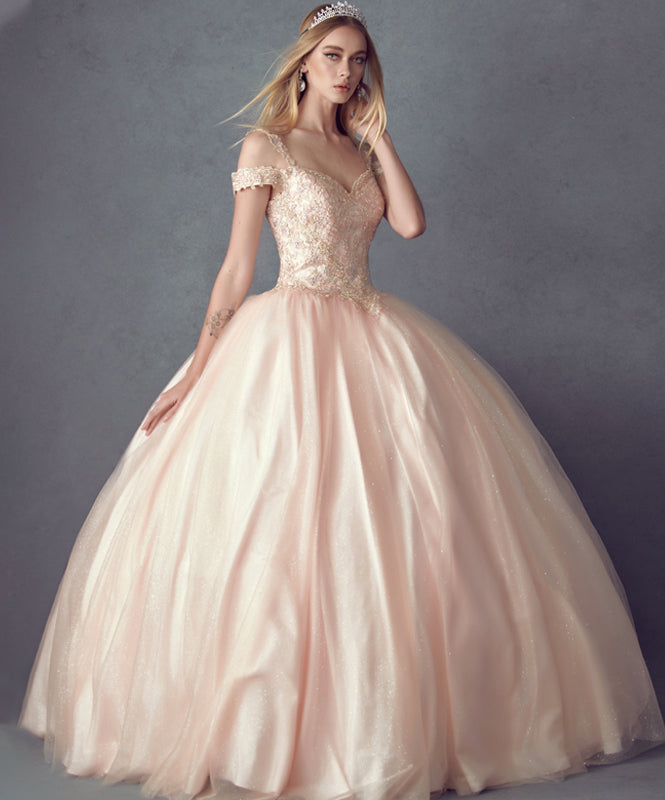 Embroidered Applique Tulle Off Shoulder Long Quinceanera Dress JT1430-Quinceanera Dress-smcfashion.com