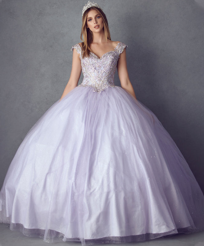 Embroidered Applique Tulle Off Shoulder Long Quinceanera Dress JT1430-Quinceanera Dress-smcfashion.com