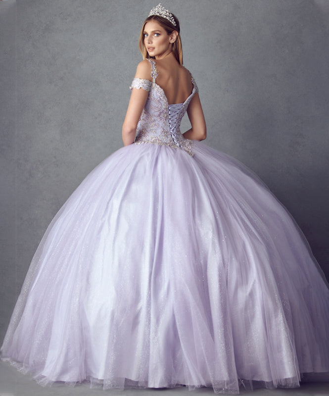 Embroidered Applique Tulle Off Shoulder Long Quinceanera Dress JT1430-Quinceanera Dress-smcfashion.com