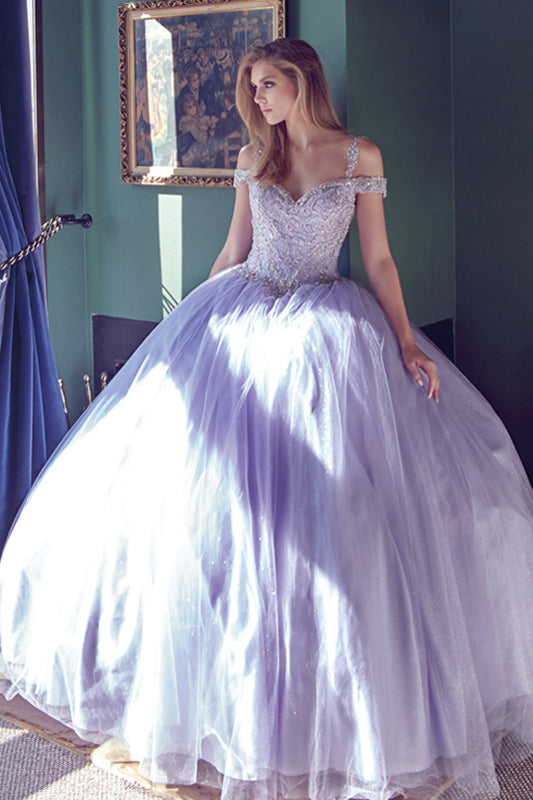 Embroidered Applique Tulle Off Shoulder Long Quinceanera Dress JT1430-Quinceanera Dress-smcfashion.com