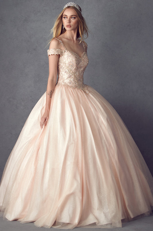 Embroidered Applique Tulle Off Shoulder Long Quinceanera Dress JT1430-Quinceanera Dress-smcfashion.com