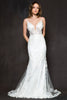Embroidered Lace Mermaid Long Wedding Dress AC21115