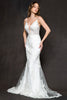 Embroidered Lace Mermaid Long Wedding Dress AC21115