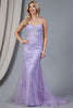 Mermaid Strapless Embroidered Lace Long Prom Dress AC7024