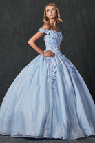 Floral Embroidered Tulle Sweetheart Long Quinceanera Dress JT1433-Quinceanera Dress-smcfashion.com