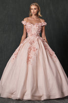 Floral Embroidered Tulle Sweetheart Long Quinceanera Dress JT1433-Quinceanera Dress-smcfashion.com