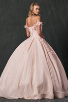 Floral Embroidered Tulle Sweetheart Long Quinceanera Dress JT1433-Quinceanera Dress-smcfashion.com