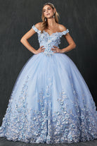 Floral Applique Off Shoulder Straps Long Quinceanera Dress JT1434-Quinceanera Dress-smcfashion.com