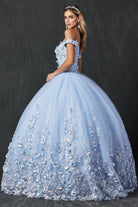 Floral Applique Off Shoulder Straps Long Quinceanera Dress JT1434-Quinceanera Dress-smcfashion.com