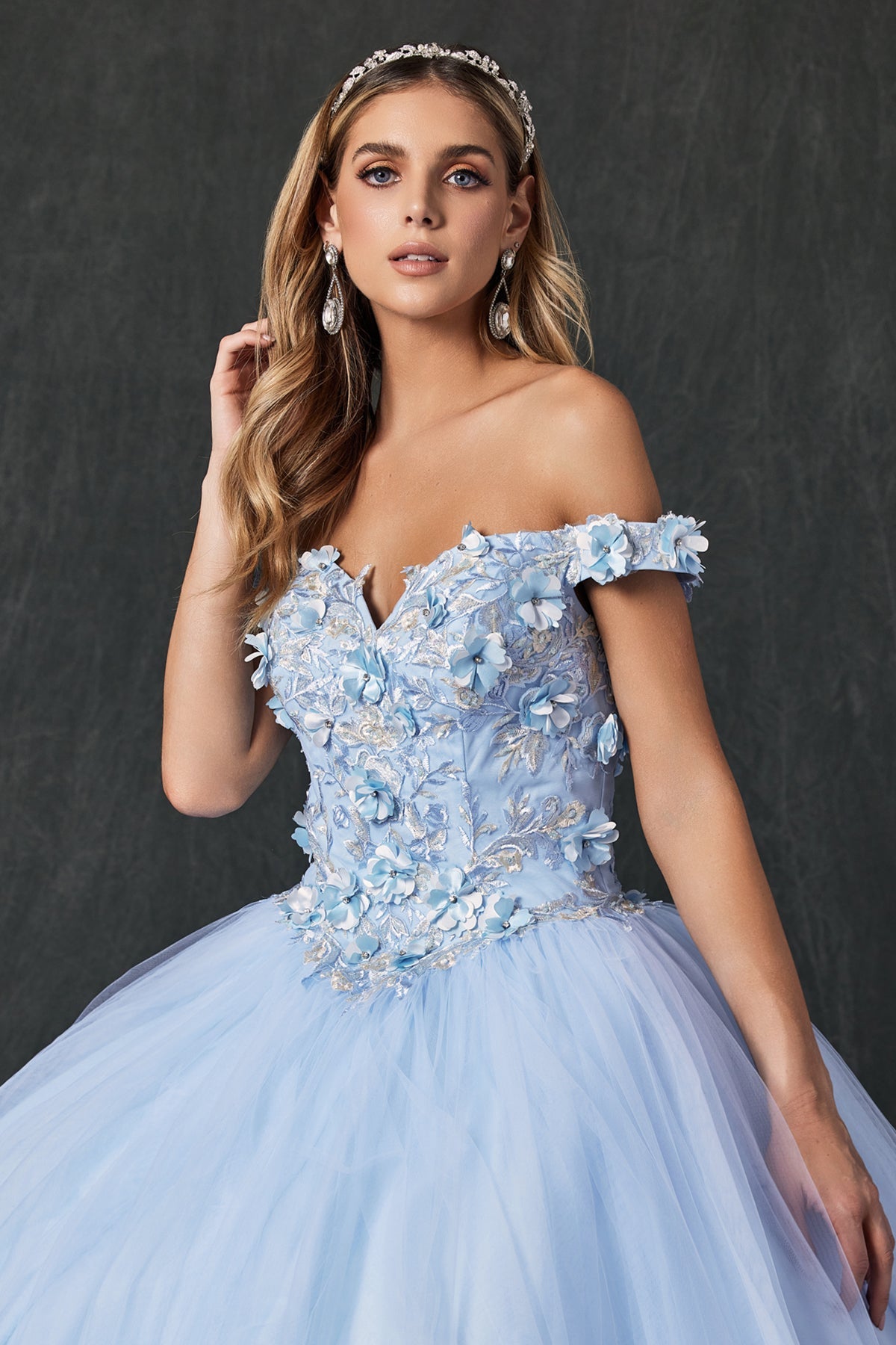 Floral Applique Off Shoulder Straps Long Quinceanera Dress JT1434-Quinceanera Dress-smcfashion.com