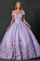 Floral Applique Off Shoulder Straps Long Quinceanera Dress JT1434-Quinceanera Dress-smcfashion.com