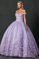 Floral Applique Off Shoulder Straps Long Quinceanera Dress JT1434-Quinceanera Dress-smcfashion.com