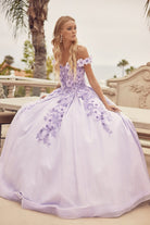 Floral Embroidered Tulle Sweetheart Long Quinceanera Dress JT1433-Quinceanera Dress-smcfashion.com