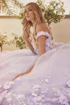 Floral Applique Off Shoulder Straps Long Quinceanera Dress JT1434-Quinceanera Dress-smcfashion.com