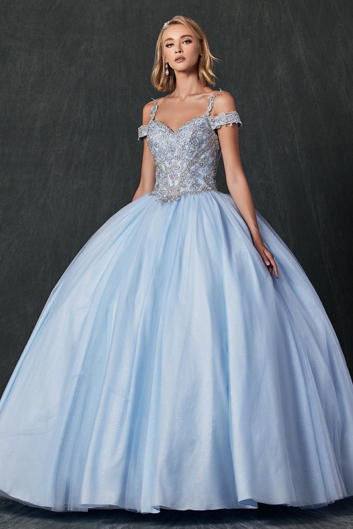 Embroidered Applique Tulle Off Shoulder Long Quinceanera Dress JT1430-Quinceanera Dress-smcfashion.com