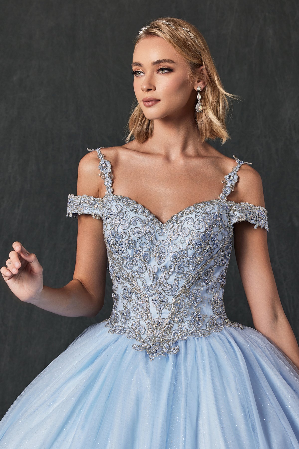 Embroidered Applique Tulle Off Shoulder Long Quinceanera Dress JT1430-Quinceanera Dress-smcfashion.com