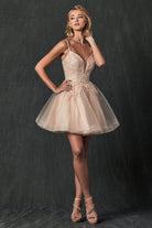 Illusion Sweetheart Open Back Embroidered Bodice Short Cocktail Dress JT859-Cocktail Dress-smcfashion.com