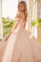 Floral Applique Off Shoulder Straps Long Quinceanera Dress JT1434-Quinceanera Dress-smcfashion.com