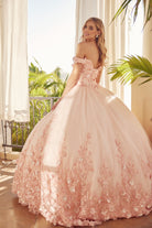 Floral Applique Off Shoulder Straps Long Quinceanera Dress JT1434-Quinceanera Dress-smcfashion.com