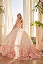 Floral Applique Off Shoulder Straps Long Quinceanera Dress JT1434-Quinceanera Dress-smcfashion.com