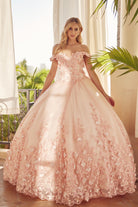 Floral Applique Off Shoulder Straps Long Quinceanera Dress JT1434-Quinceanera Dress-smcfashion.com