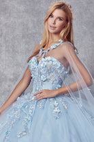 Strapless 3D Floral Applique Open Back Long Quinceanera Dress JT1435-All Dresses-smcfashion.com