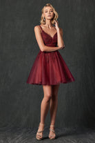 Embellished Beads Illusion V-Neck Straps Short Cocktail & Homecoming Dress JT857-Cocktail Dress-smcfashion.com