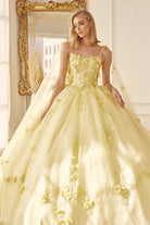 Long Tulle Cape With 3D Flowers Applique Long Quinceanera Dress JT1436-Quinceanera Dress-smcfashion.com