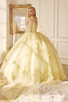 Long Tulle Cape With 3D Flowers Applique Long Quinceanera Dress JT1436-Quinceanera Dress-smcfashion.com
